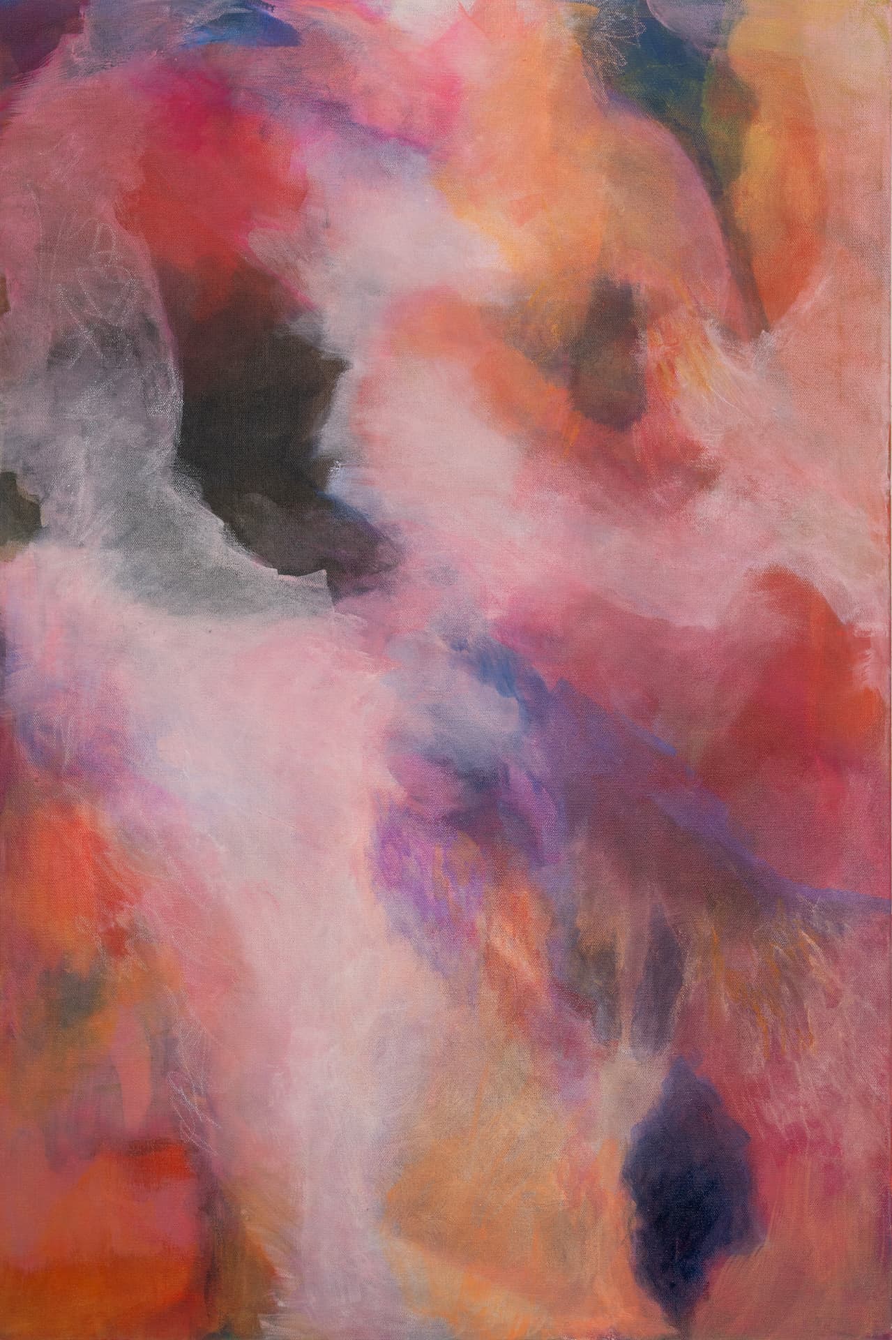 Abstract atmosphere of rose, coral and violet light